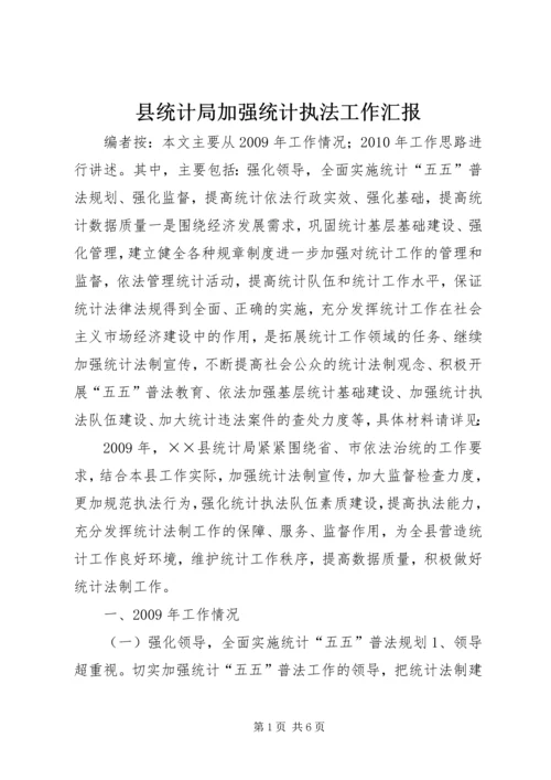 县统计局加强统计执法工作汇报.docx