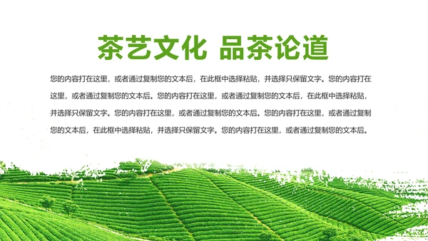 唯美清新绿色茶园茶艺茶文化品茶论道PPT模板
