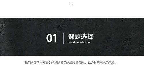 简约商务风大学生小组作业展示