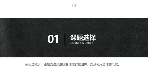简约商务风大学生小组作业展示