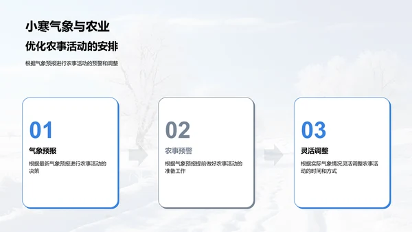 小寒气候与农业策略