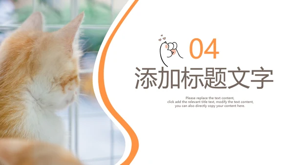简约风宠物店商业计划书爱宠猫咪PPT模板