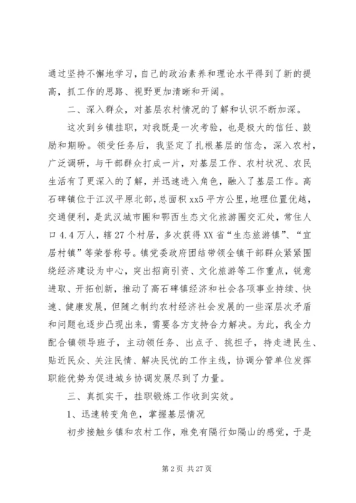 乡镇挂职锻炼工作总结五篇.docx