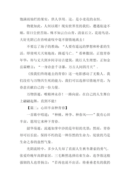 XX年江苏语文作文.docx