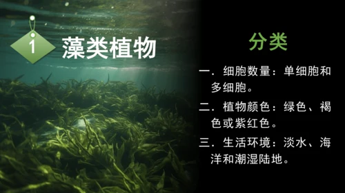 3.1.1 藻类、苔藓和蕨类植物 课件 人教版生物七年级上册(共27张PPT)