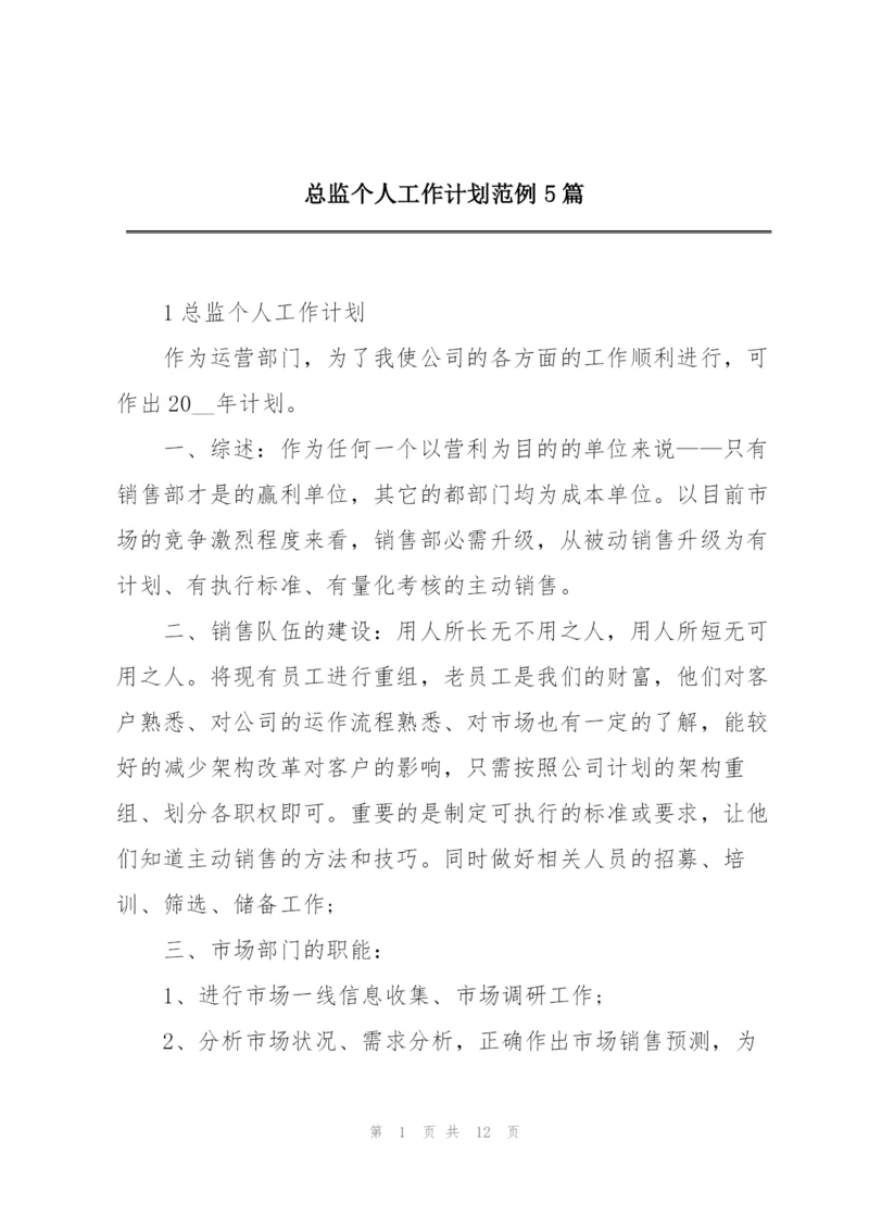 总监个人工作计划范例5篇.docx