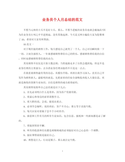 精编之业务员个人月总结的范文.docx