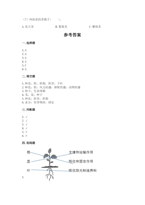 教科版四年级下册科学第一单元《植物的生长变化》测试卷精品带答案.docx