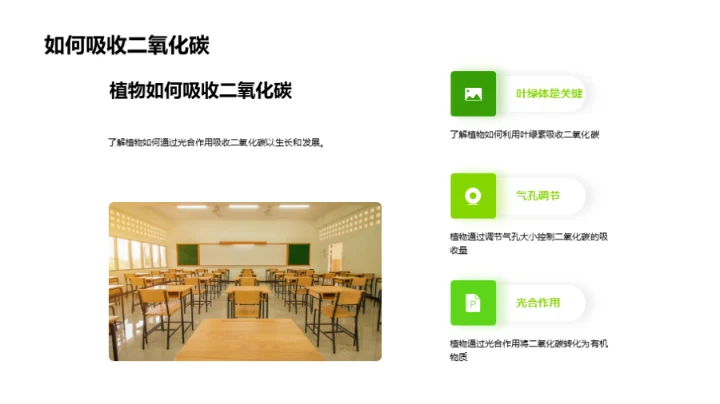 探索植物的奥秘