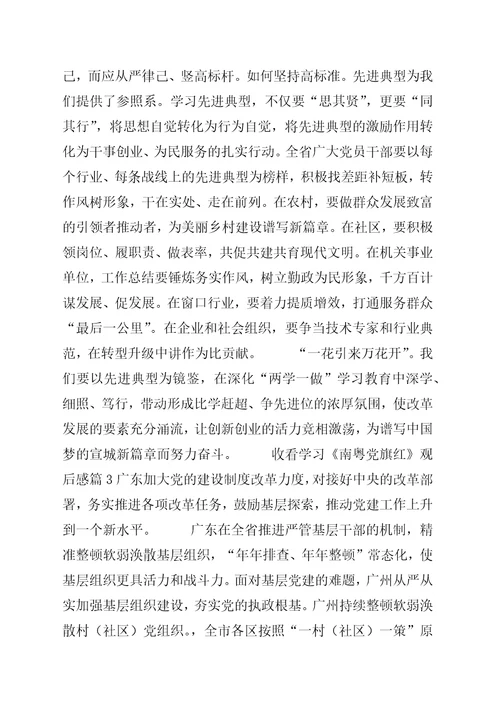 关于某年最新收看学习南粤党旗红观后感