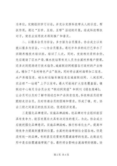 城南镇开展“支部协会”工作情况汇报.docx