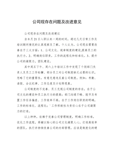 公司现存在问题及改进意见.docx