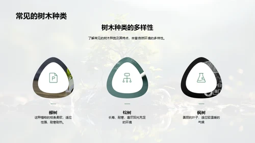 植树环保的探究