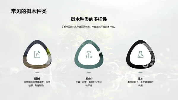 植树环保的探究