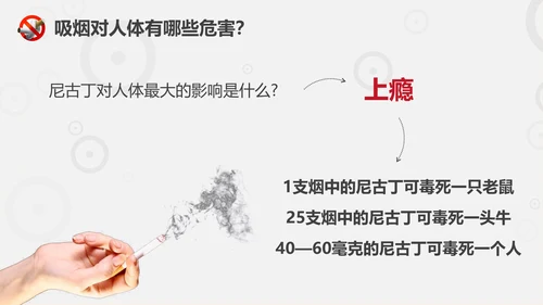 珍爱生命远离香烟世界无烟日通用PPT