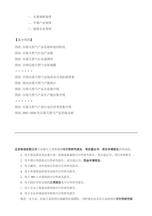 压缩天然气项目投资调研及前景预测报告模板.docx
