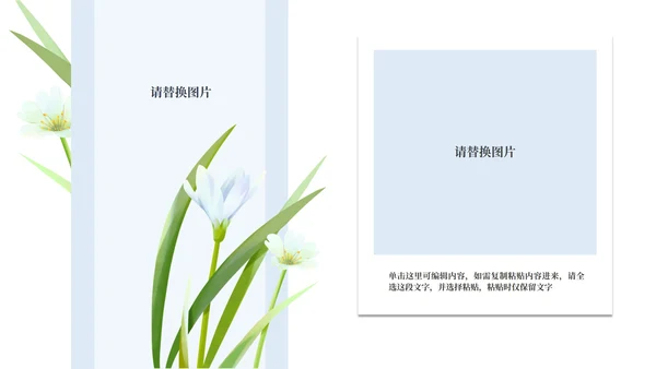小清新婚礼策划方案PPT模板
