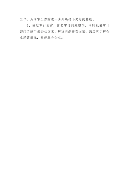 公司内部审计报告精编.docx