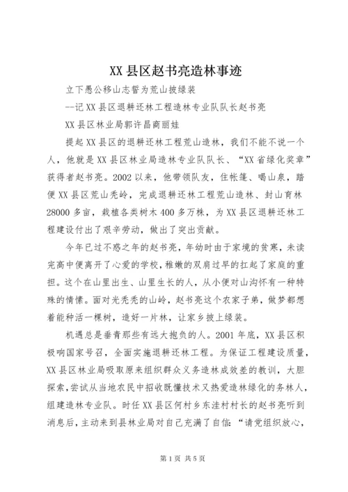 XX县区赵书亮造林事迹.docx