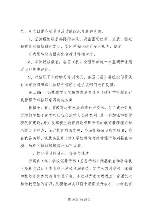 挂职干部学习实践计划.docx