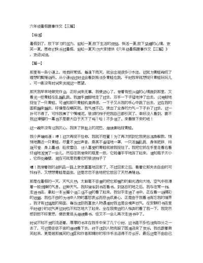 六年级暑假趣事作文【三篇】