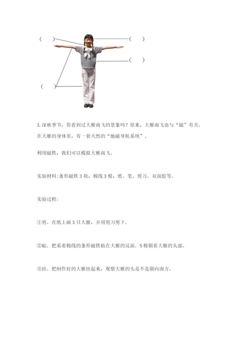教科版二年级下册科学期末测试卷【word】.docx
