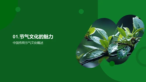 寒露节气文化探寻