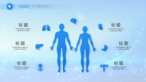蓝色智慧医疗信息化建设工作总结PPT