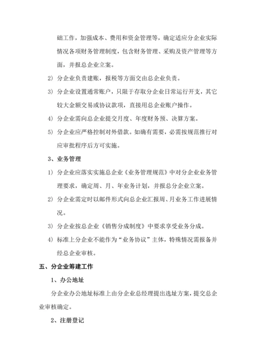 分公司筹建专项方案.docx