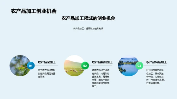 科技风农林牧渔节日节气PPT模板
