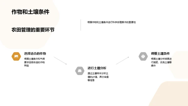 农业升级：科技助力农田