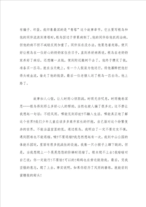 六年级根鸟有感400字五篇