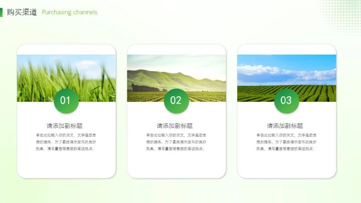 乡村振兴农产品介绍通用PPT模板