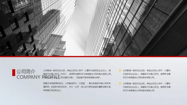 领航未来霸气龙图腾企业策划通用PPT模板