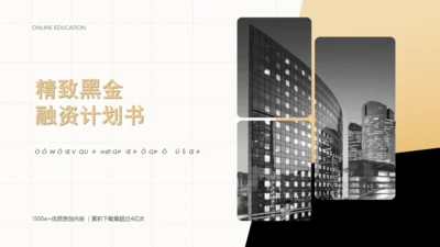 黑金融资商业计划书通用PPT模板