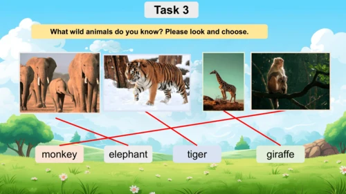 Unit 3 Amazing animals 单元复习课件(共33张PPT)