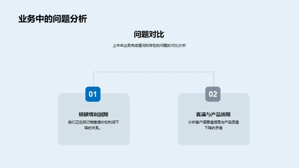 业务复盘与展望