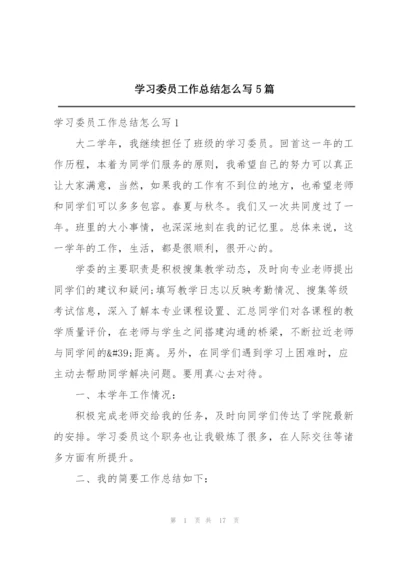 学习委员工作总结怎么写5篇.docx