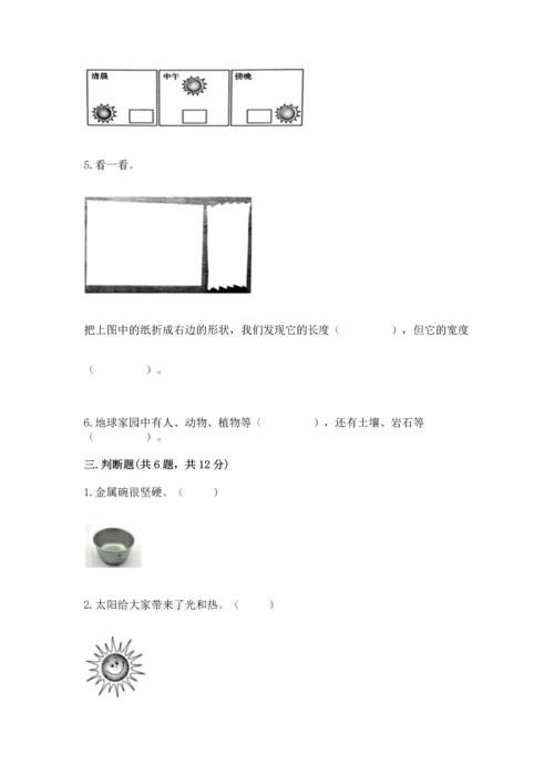 教科版二年级上册科学期末测试卷【轻巧夺冠】.docx