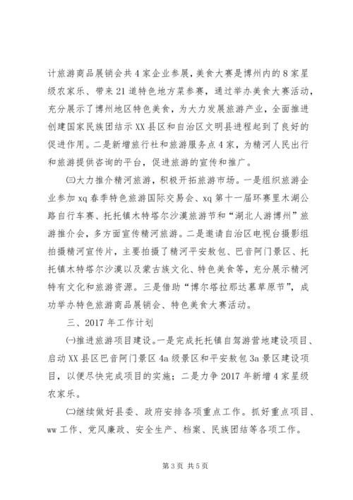 旅游局XX年工作总结及XX年工作计划 (2).docx