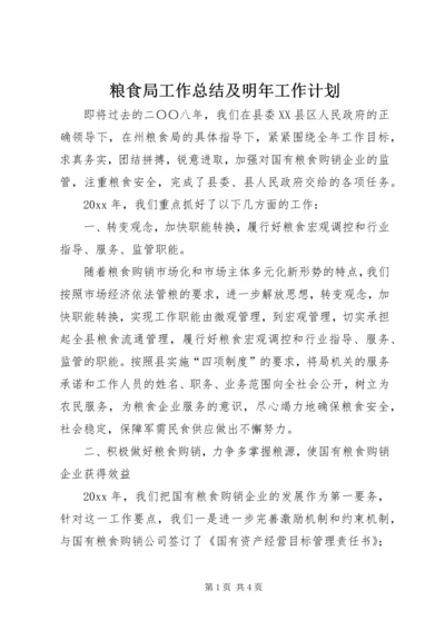 粮食局工作总结及明年工作计划精编.docx