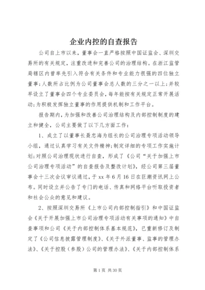 企业内控的自查报告.docx