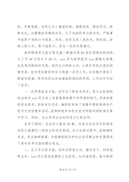 挂职锻炼单位鉴定意见 (2).docx