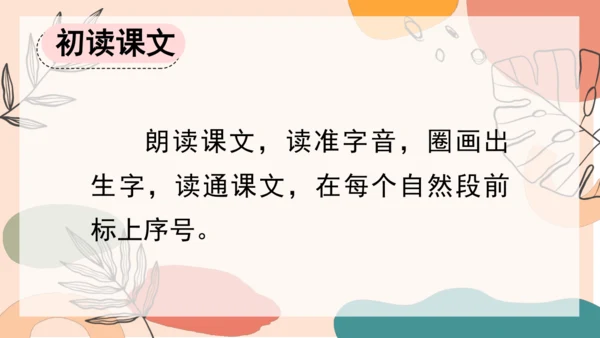 13、画杨桃（第一课时）  课件
