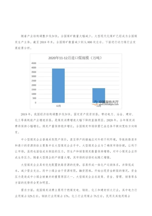 动力煤行业发展前景分析-产业报告.docx