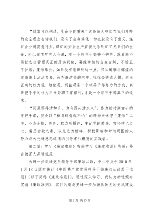 学习廉政准则有感精编.docx