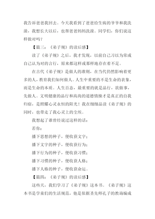 弟子规读后感300字.docx