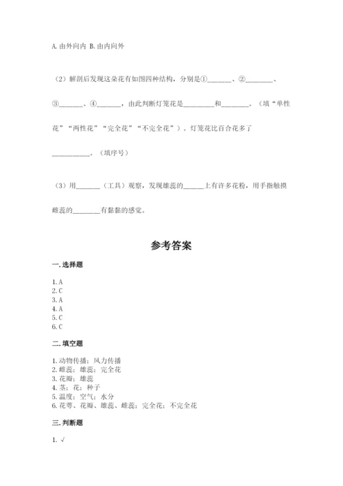 教科版四年级下册科学第一单元《植物的生长变化》测试卷【预热题】.docx