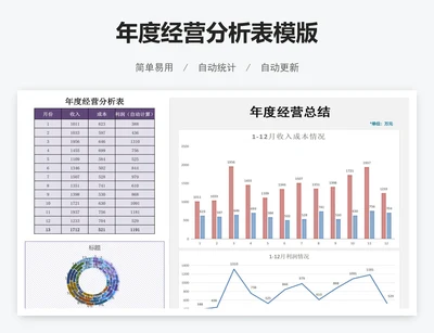 年度经营分析表模版