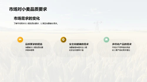 小麦养护：科技与未来